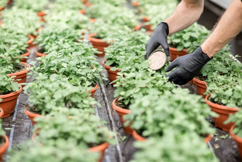 Fertilizer and pesticide registration