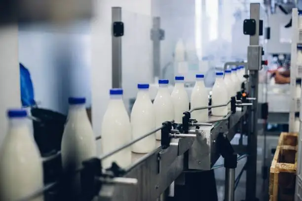 Dairy Producer